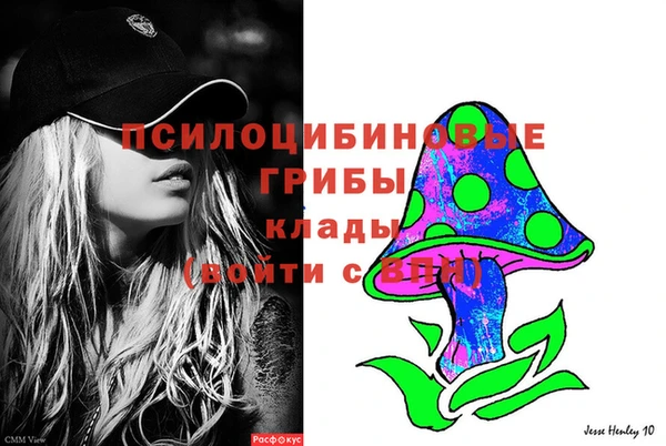 spice Балабаново