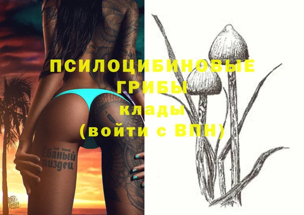 Альфа ПВП Балахна
