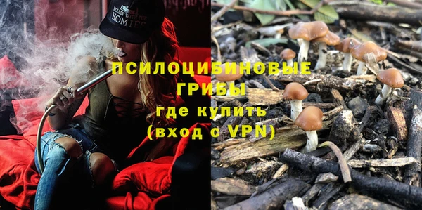spice Балабаново